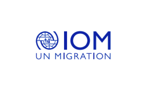 Procurement & Logistics Assistant